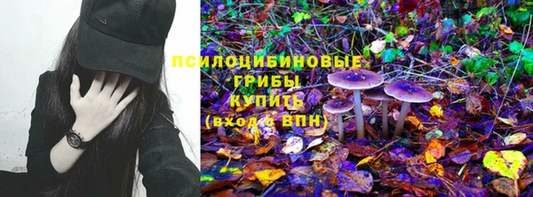 шишки Алексин