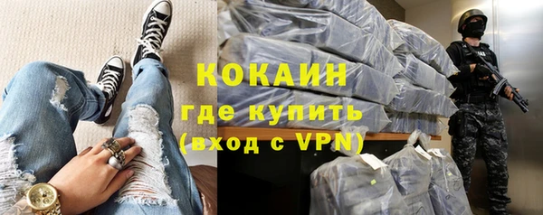 шишки Алексин